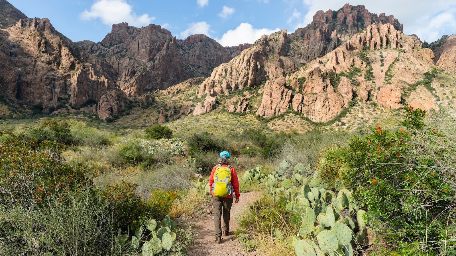 Senior woman walking on trail trough cactus, yucca plant and rocks in Big Bend National Park, Texas