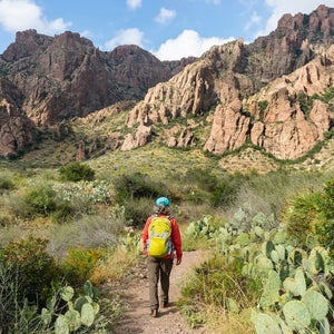 Senior woman walking on trail trough cactus, yucca plant and rocks in Big Bend National Park, Texas