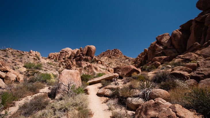 Mastodon peak trail on a sunny day