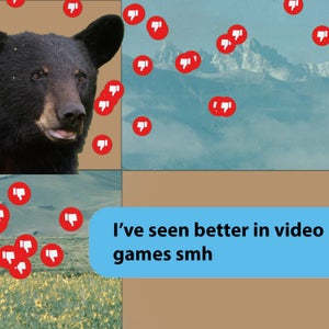 collage national-parks reviews