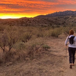 Georgia Porter on the Arizona Trail