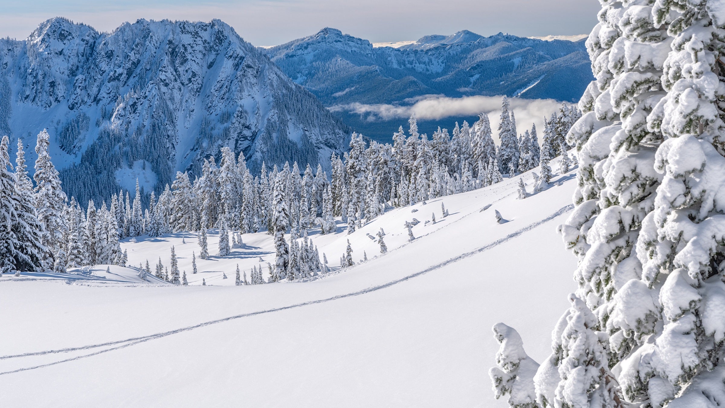 a snowcovered Mount Rainier