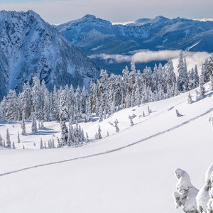 a snowcovered Mount Rainier