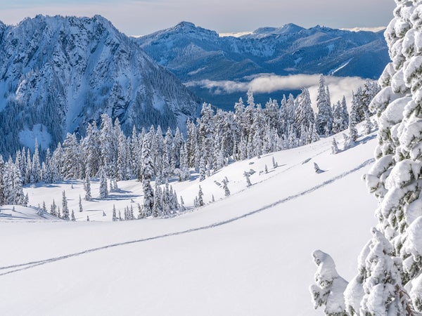 a snowcovered Mount Rainier