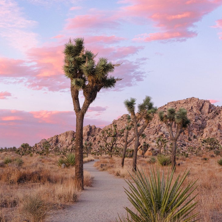 boy scout trail with a bright pink sunset in the background