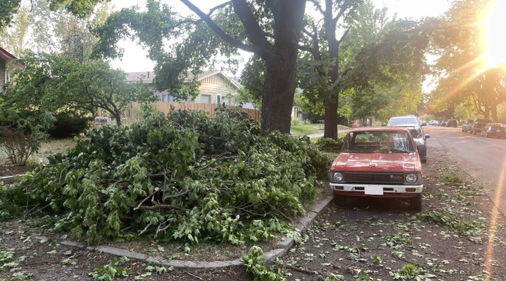 truck parked next to a pile of tree branches