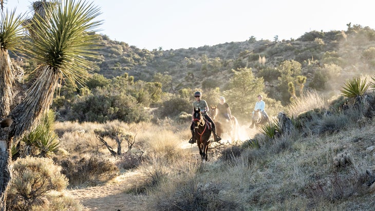 Horseback Riders Head Down The California Hiking Trail