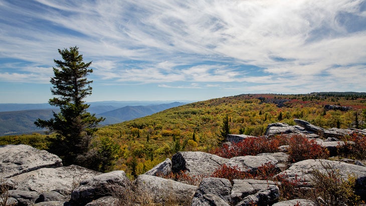 panoramic view from a hiking trail in the Dolly Sods Wilderness Area