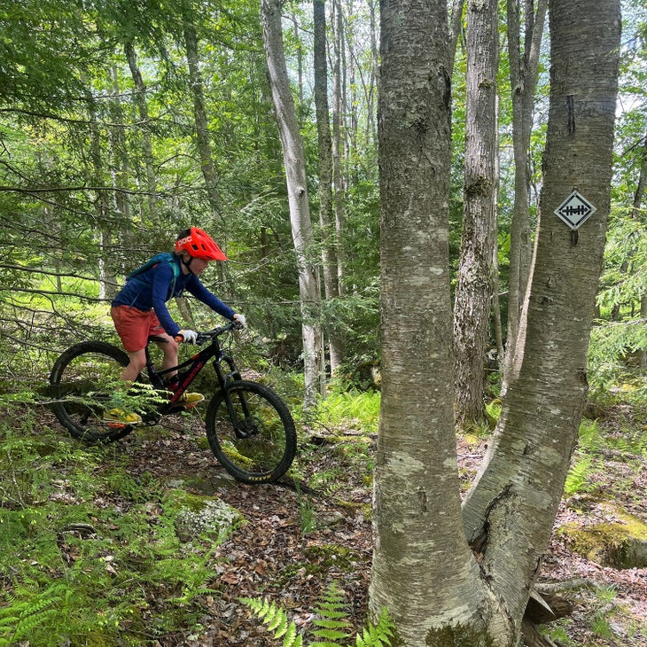 mountain biker on the hellbender trail near Davis, West Virginia