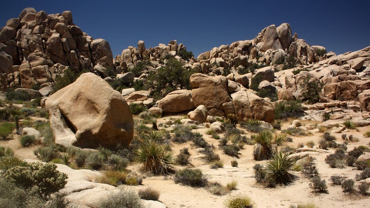 Hidden Valley Trail in Joshua Tree National Park