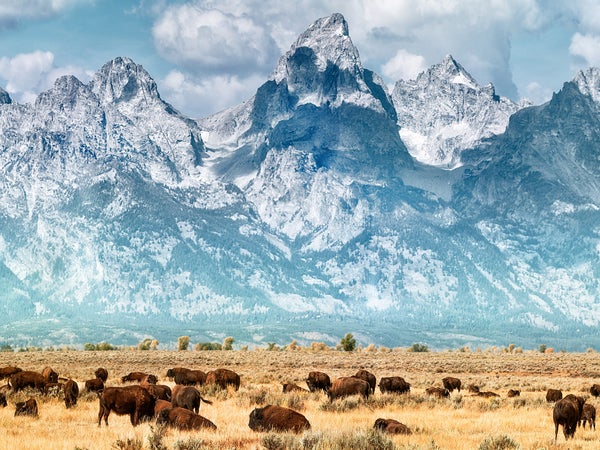 Teton Range