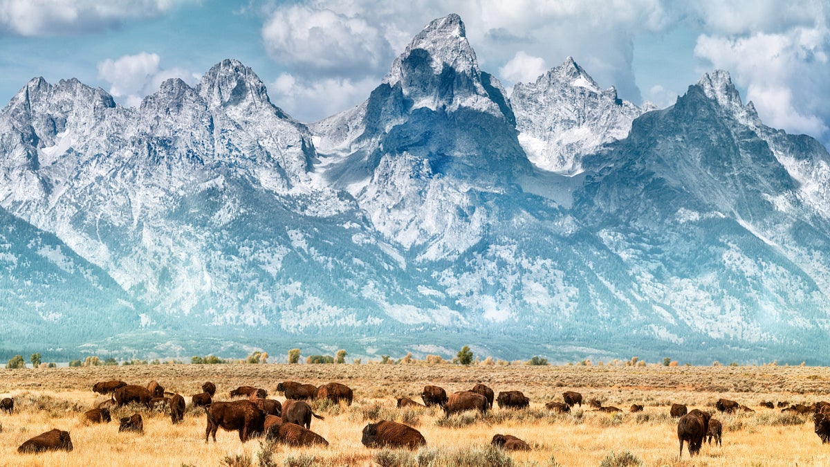 How to Visit Jackson Hole on a Budget—Know These Tips