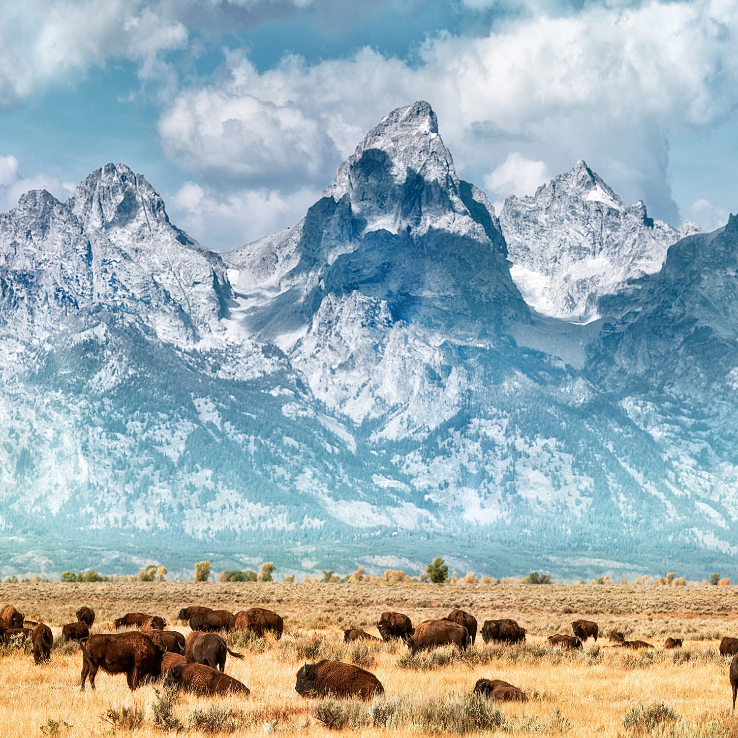 Teton Range