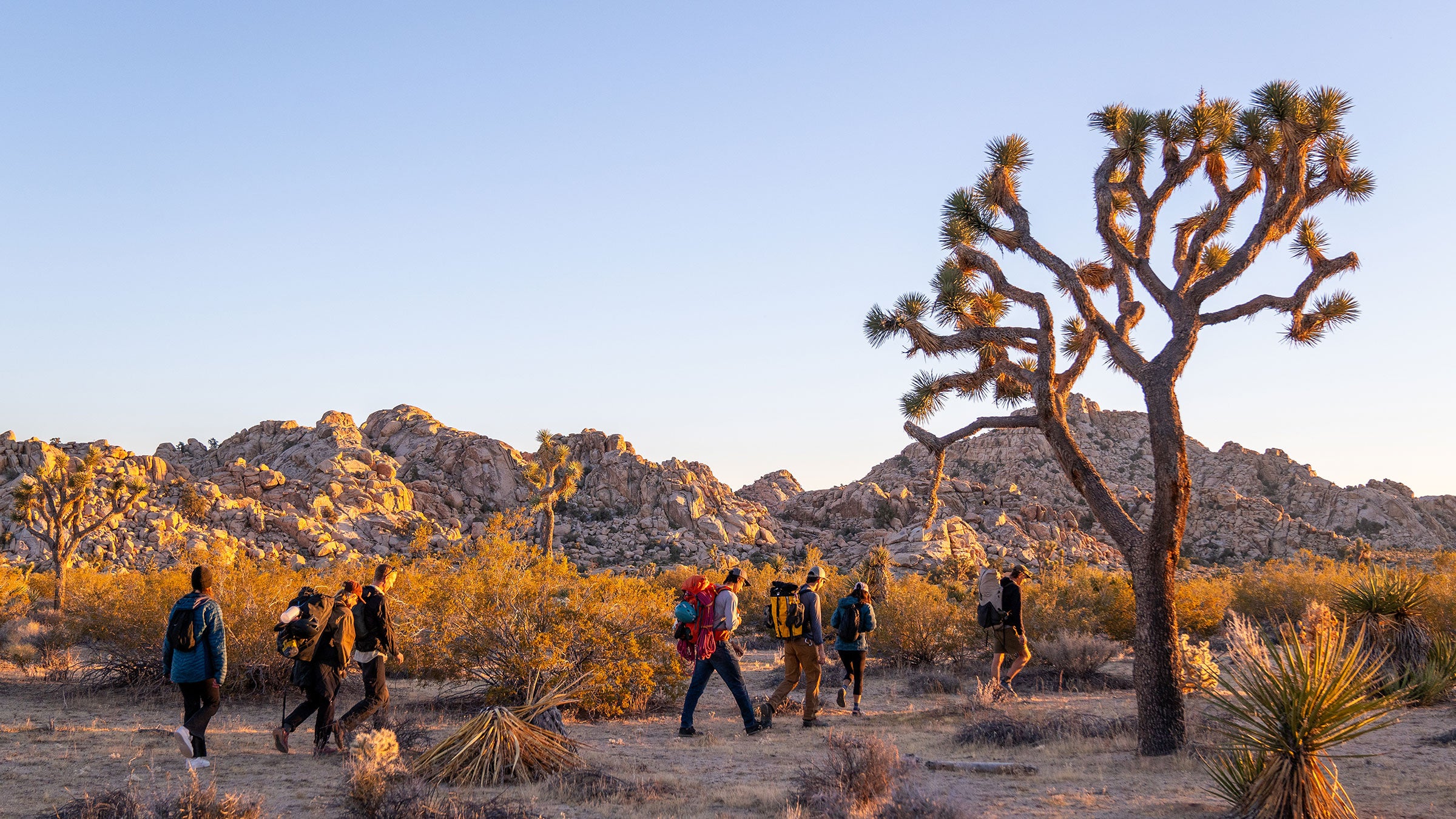 A group of friendsI set out for a sunset climbing mission on some crags off of the Boy Scout Trail in Joshua Tree