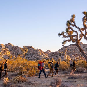A group of friendsI set out for a sunset climbing mission on some crags off of the Boy Scout Trail in Joshua Tree