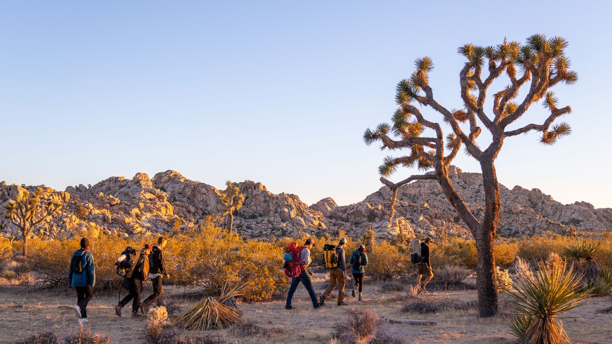 The 11 Best Hikes in Joshua Tree National Park