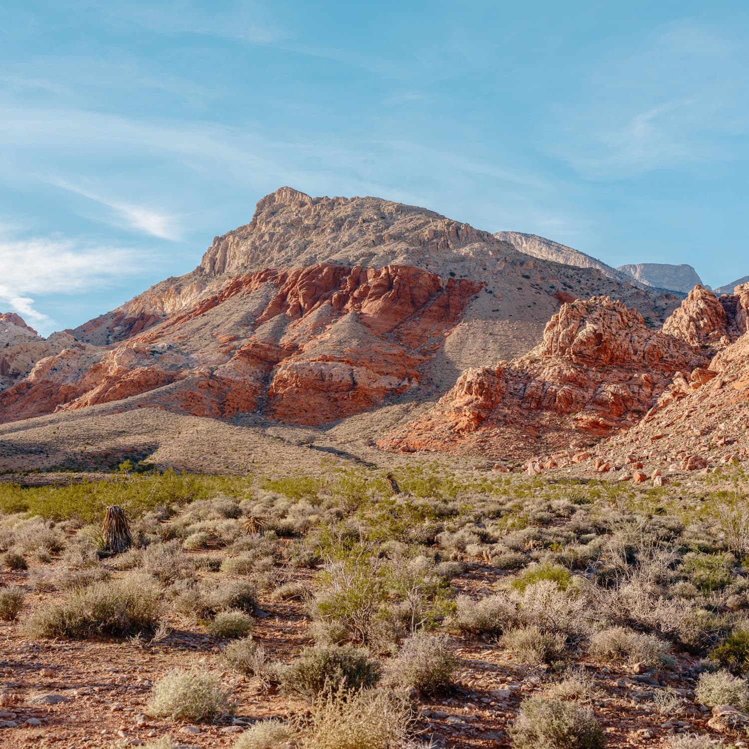 The Mojave Desert outside Las Vegas