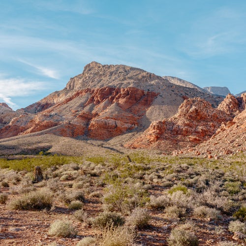 The Mojave Desert outside Las Vegas