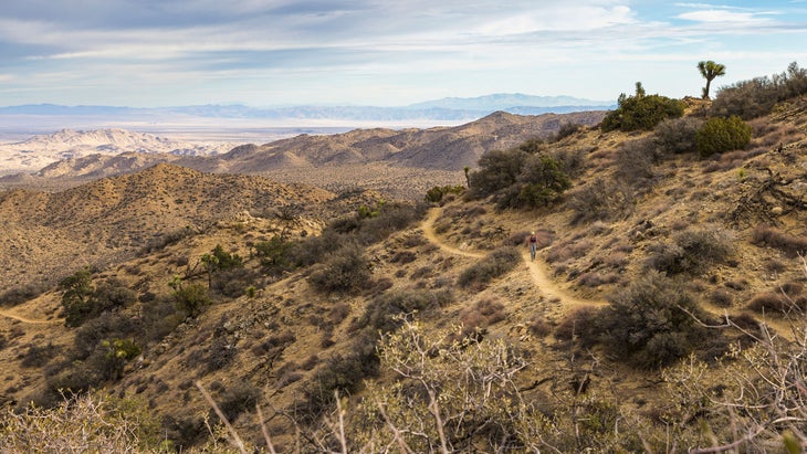 A woman hikes the Panorama Loop trail in Black Rock Canyon, Joshua Tree National Park