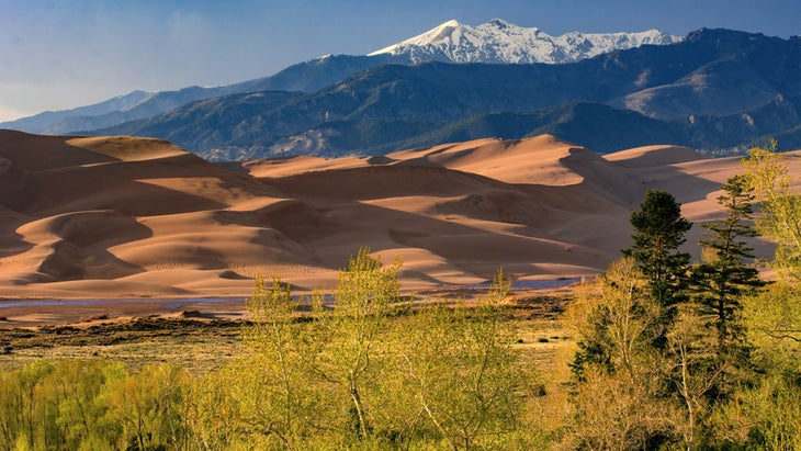 Great Sand Dunes National Park, Colorado, with budding trees in the foreground and peaks behind