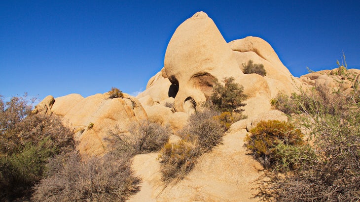 skull rock trail and skull rock in Joshua Tree