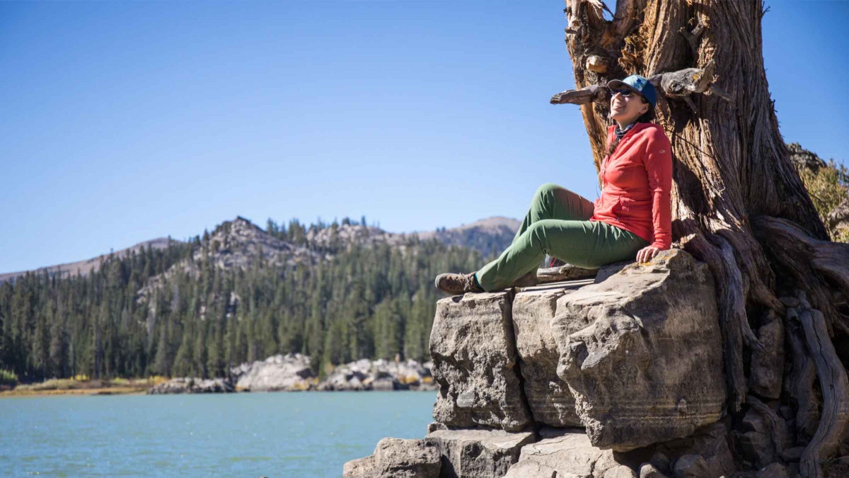 Plus-Size Outdoor Apparel Company Alpine Parrot Shutters