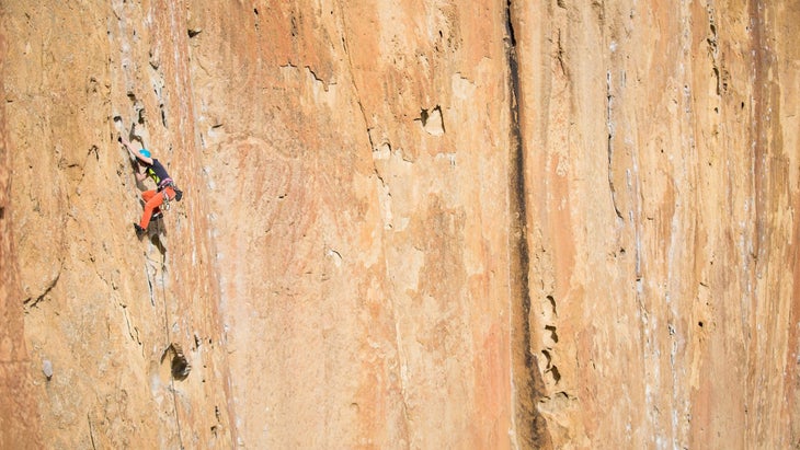 A climber in orange pants and a blue helmet climbs a large sandstone wall