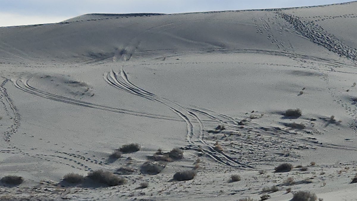 A Driver’s “Reckless Joyride” Damaged the Eureka Dunes in Death Valley