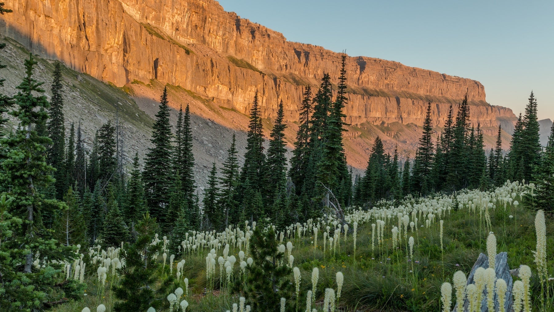 Sunrise on the Chinese Wall in the Bob Marshall Wilderness, Montana