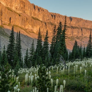 Sunrise on the Chinese Wall in the Bob Marshall Wilderness, Montana
