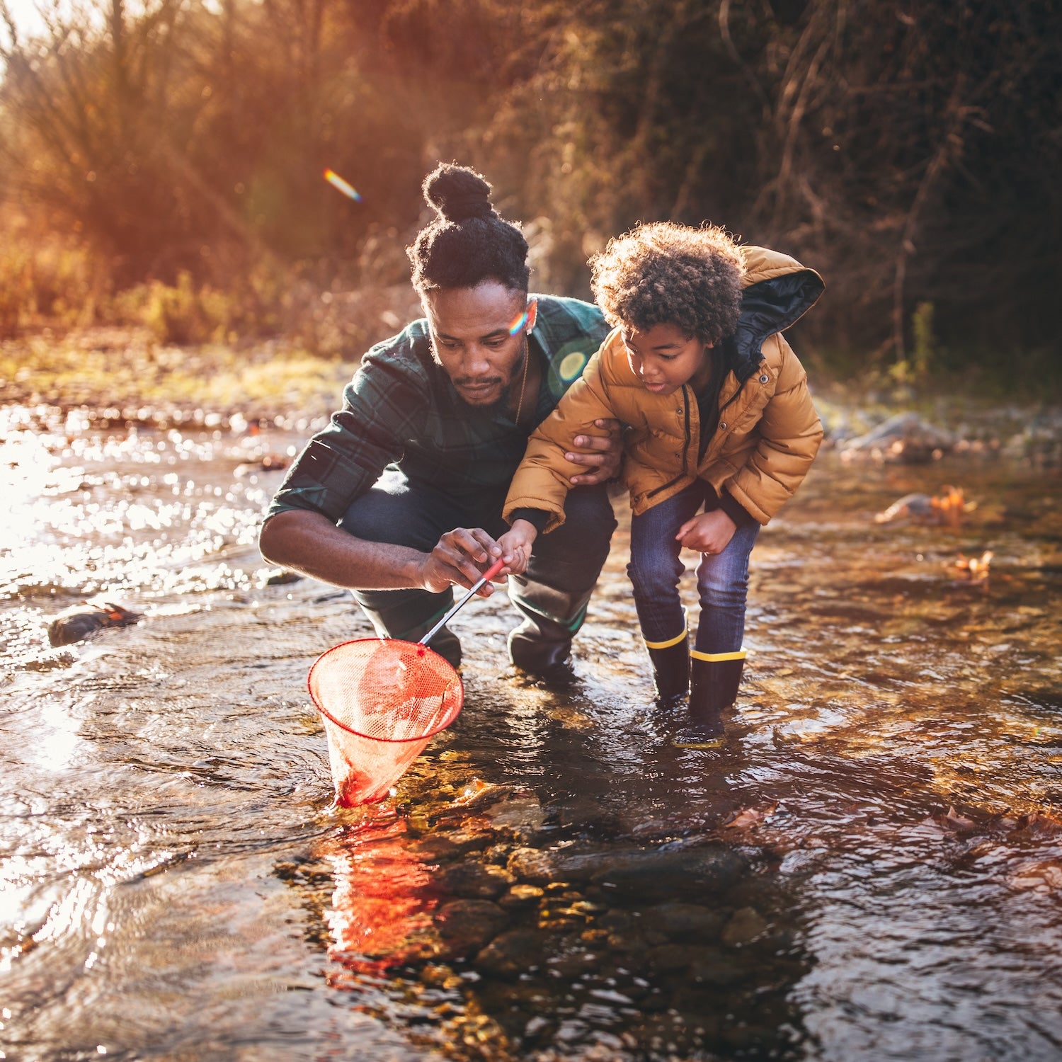 oung dad teaching son how to fish with fishing net in mountain stream at sunset