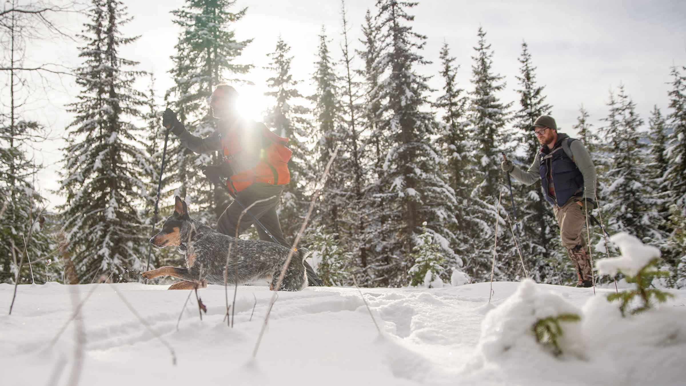 A man cross-country skiing