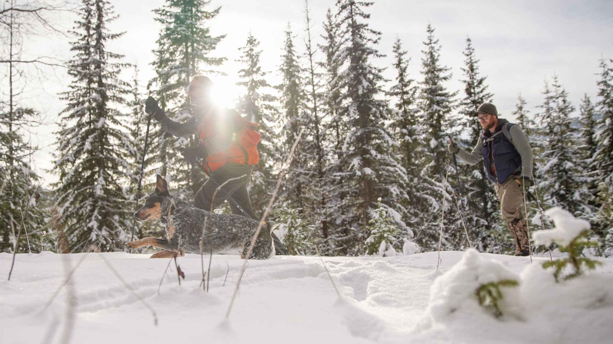 This Idaho Forester Relies on His Skis to Work Through the Winter