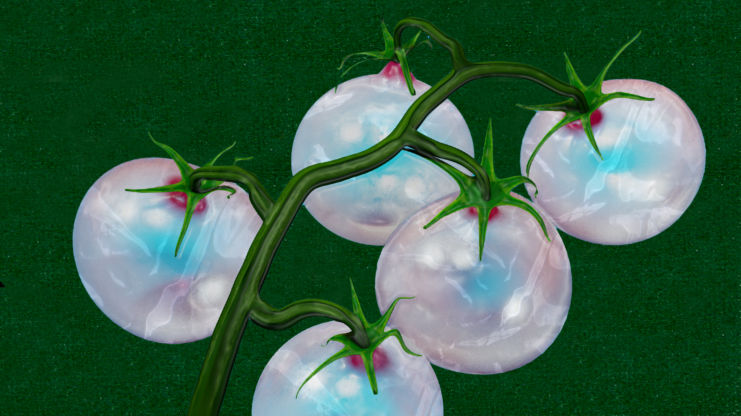 Illustration of plastic tomatoes on dark green background