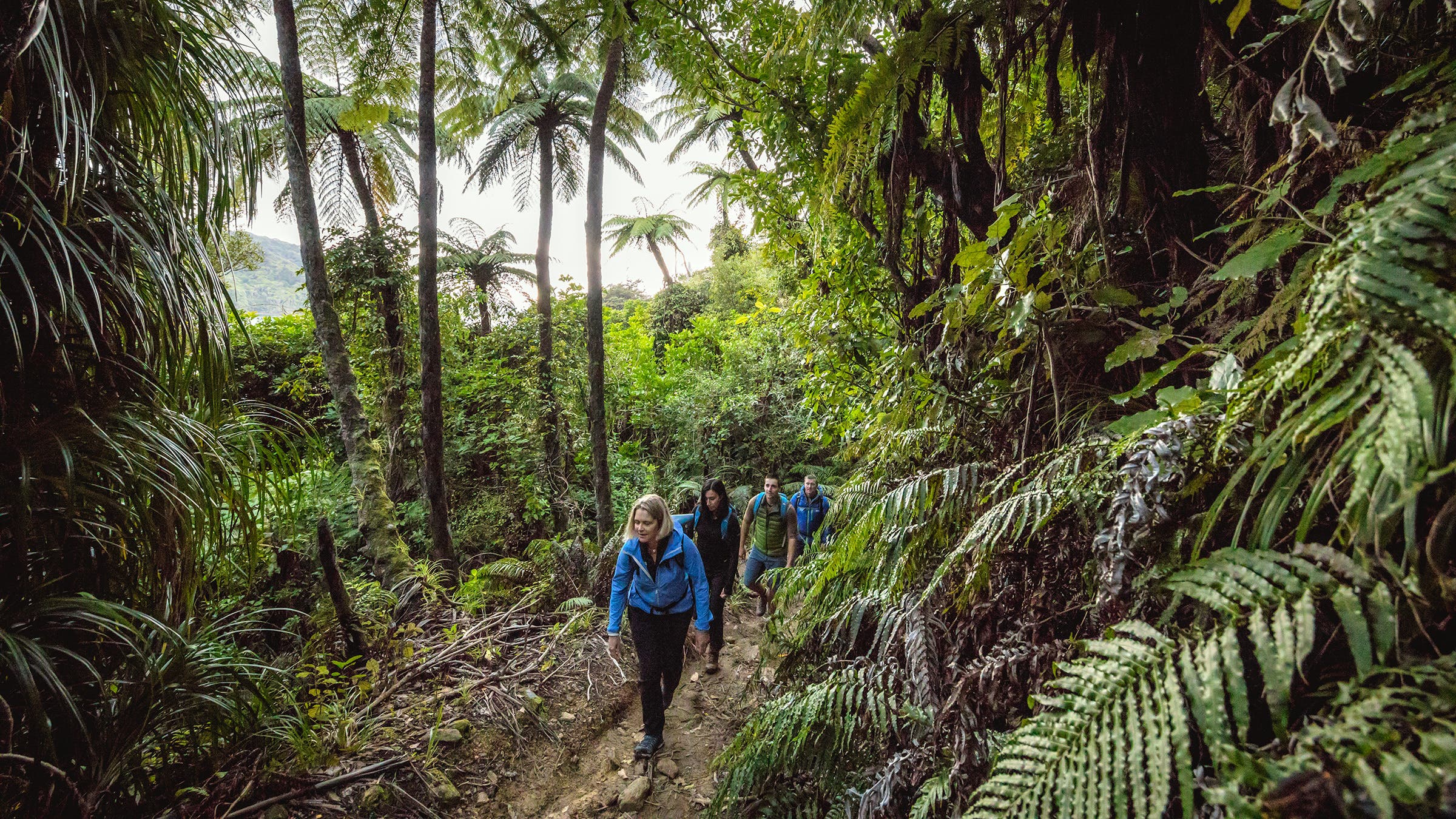 New-Zealand-Te-Araroa