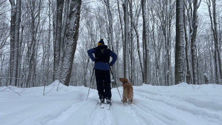 a mand and a golden retriever skiing