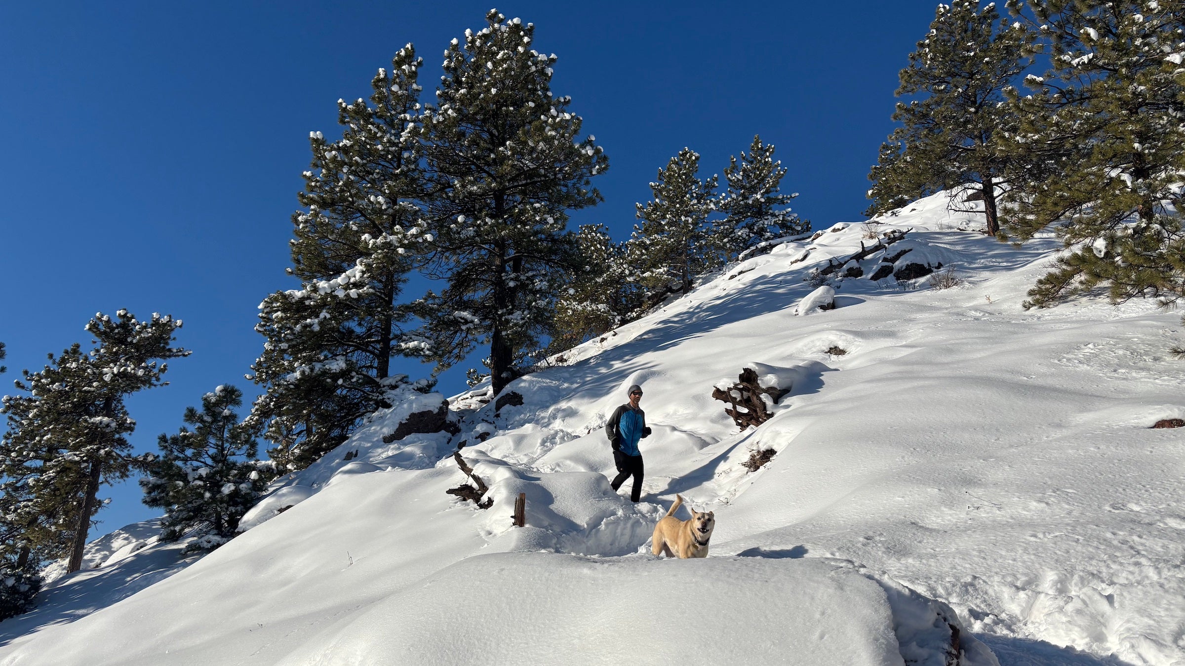 man running on snowy trail behind dog