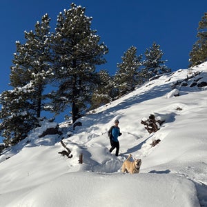 man running on snowy trail behind dog