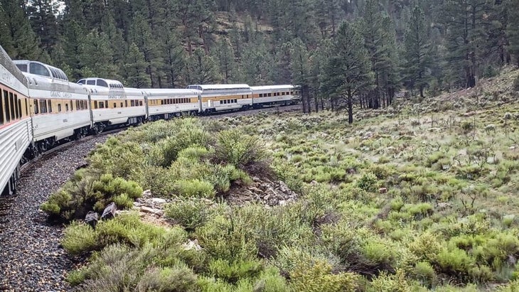 The Grand Canyon Railway train curves along the tracks en route through a pine-and scrub-covered landscape.