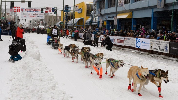 An Iditarod competitor drives his sled-dog team during the ceremonial start of the race in Anchorage, Alaska.