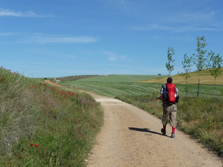 El Camino de Santiago