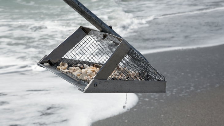 Hunting for shark teeth on Venice beach Florida