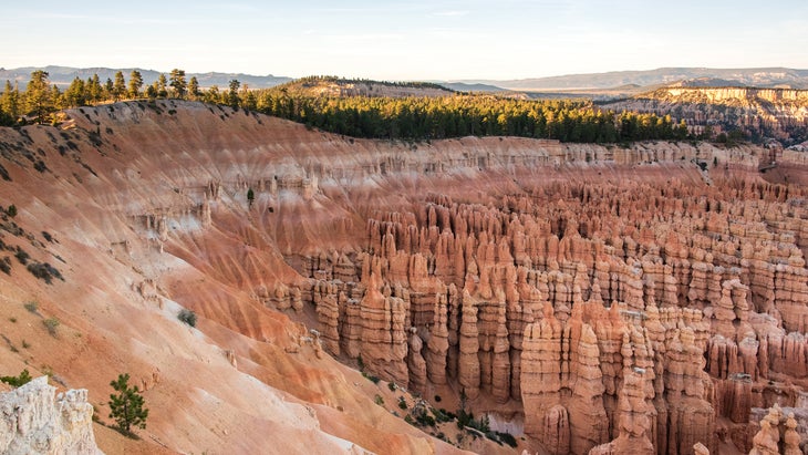 hoodoos in amphitheatre in Bryce Canyon National Park