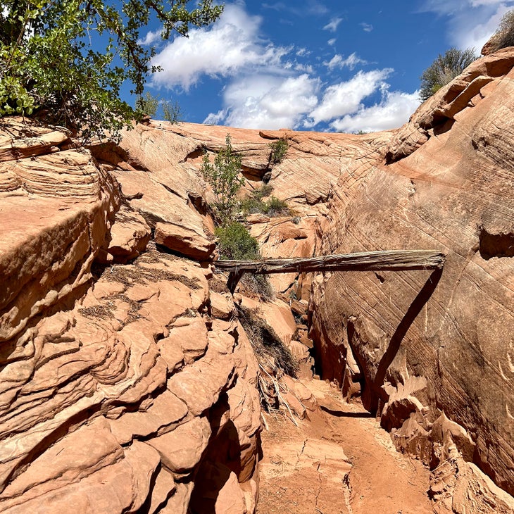 wedged log canyon Utah desert