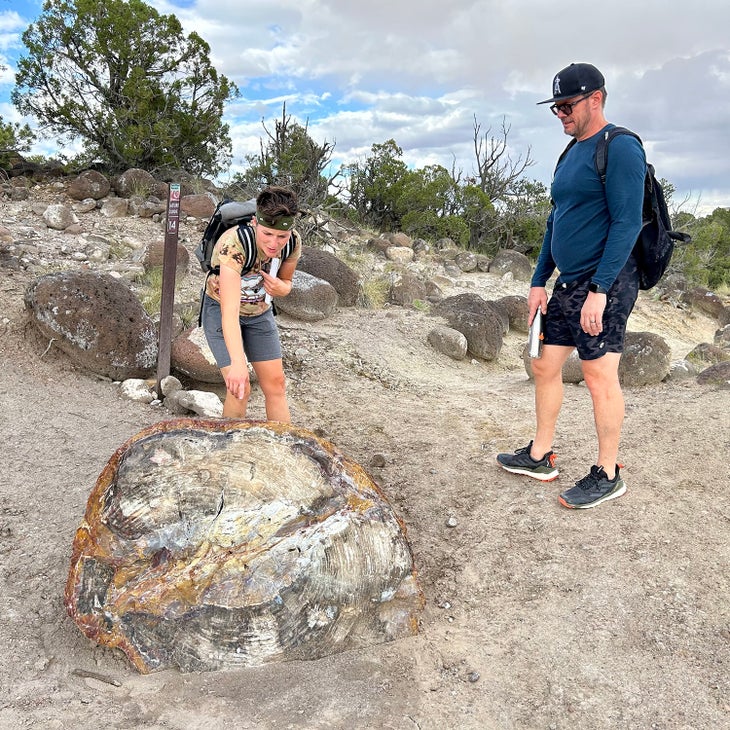 two hikers examine petrified rock at Escalante Petrified Forest State Park