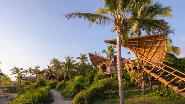 if you want to know where should I go on vacation this year, we'd highly recommend the playa viva treehouses in mexico, like on this beautiful, sunny day