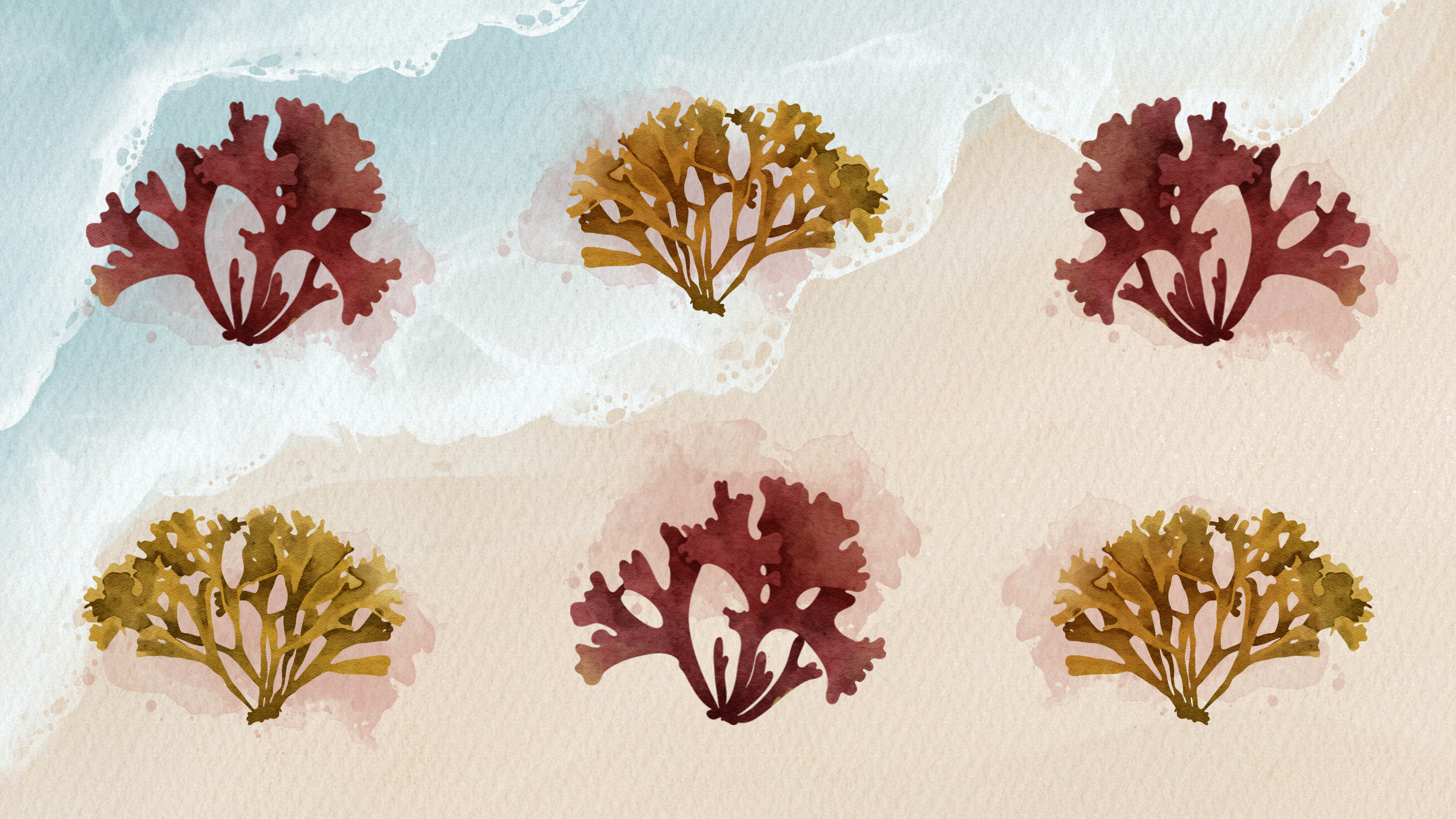 Six pieces of sea moss on an oil painting of a beach.