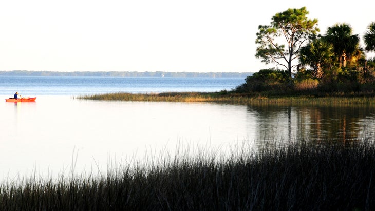 Reeds on lake edge and kayaker in St Joseph Peninsula State Park, Florida