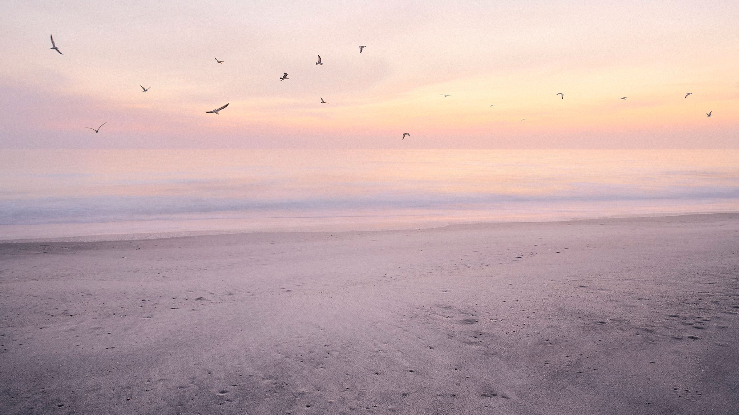 seagulls at dusk on vero beach, one of the best beaches in florida for treasure hunting