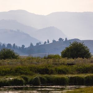 Yellowstone’s Best Wildlife Hikes